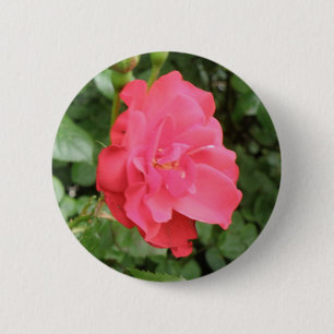 Wilde Roos Button