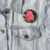 Wilde Roos Button (In situ)