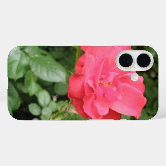 Wilde Roos Case-Mate iPhone Case (Achterkant (horizontaal))