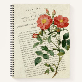 Wilde Roos Eglantine: Een Vintage Botanisch Notiti Notitieboek