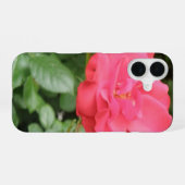 Wilde Roos iPhone 16 Hoesje (Achterkant horizontaal)