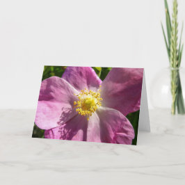 Wilde Roos Notecard Kaart
