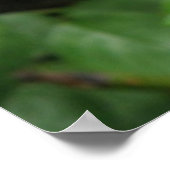 Wilde Roos Poster (Hoek)