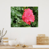 Wilde Roos Poster (Keuken)