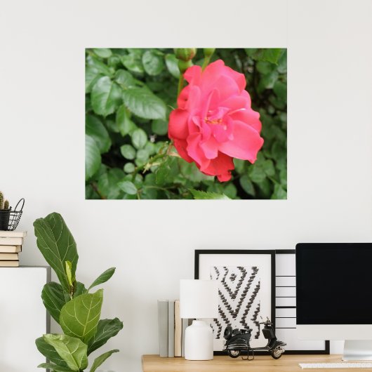 Wilde Roos Poster (Thuiskantoor)