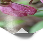 Wilde Roze Dame Slipper Orchidee Bloempaar 8x10 Foto Afdruk (Hoek)