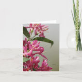 Wilde roze kamperfoelie kaart (Voorkant)