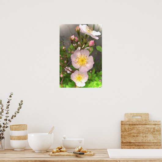 Wilde roze Posters bloemen (Keuken)