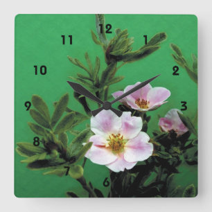 wilde roze roos bloemen in het groen, Elegant Vierkante Klok