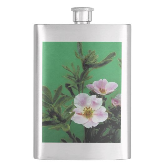wilde roze roos bloemen in het groen. flacon (Voorkant)