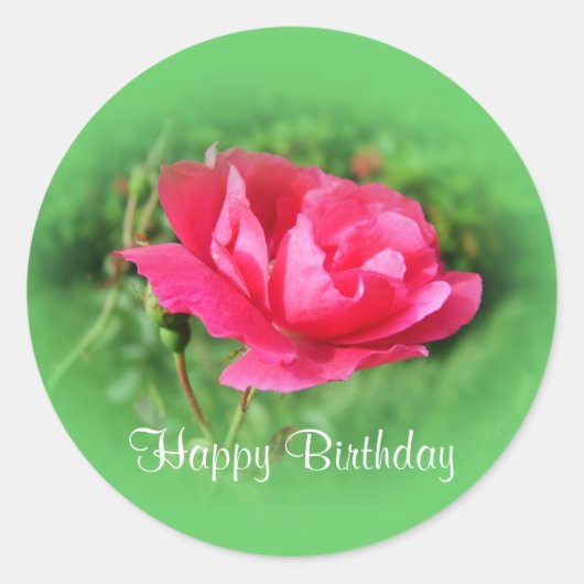 wilde roze roos bloemen ronde sticker (Voorkant)