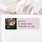 Wilde roze rozen in Alaska Etiket (Insitu)