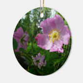 Wilde roze rozen in Alaska Keramisch Ornament (Links)