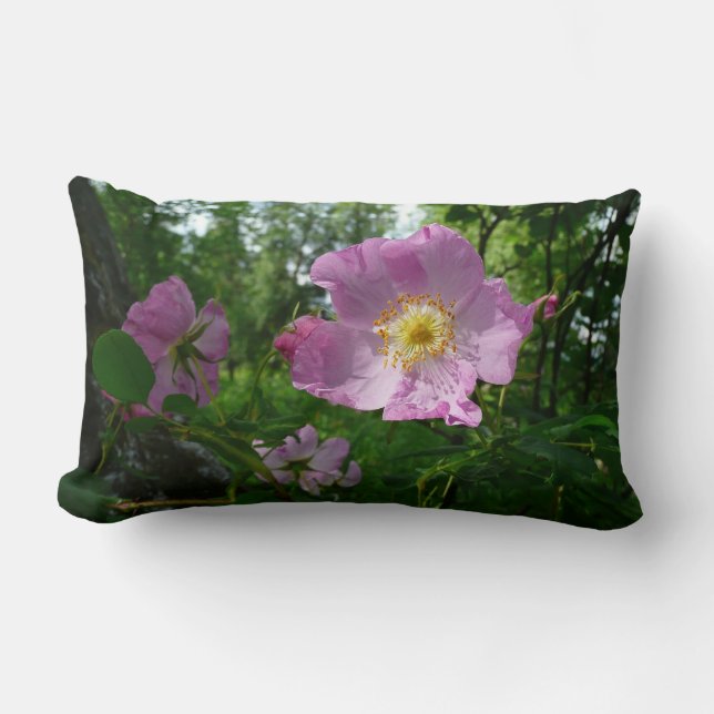 Wilde roze rozen in Alaska Kussen (Voorkant)