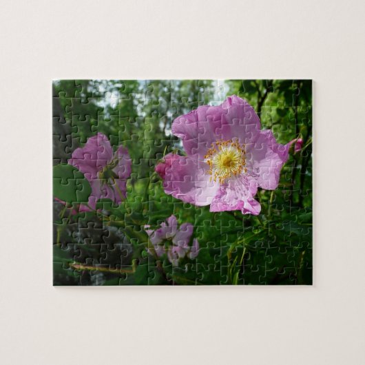 Wilde roze rozen in Alaska Legpuzzel (Horizontaal)