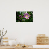 Wilde roze rozen in Alaska Poster (Keuken)