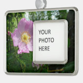 Wilde roze rozen in Alaska Verzilverd Omlijst Ornament (Links)
