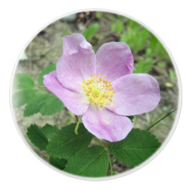 Wilde Roze Rozen Keramische Knop