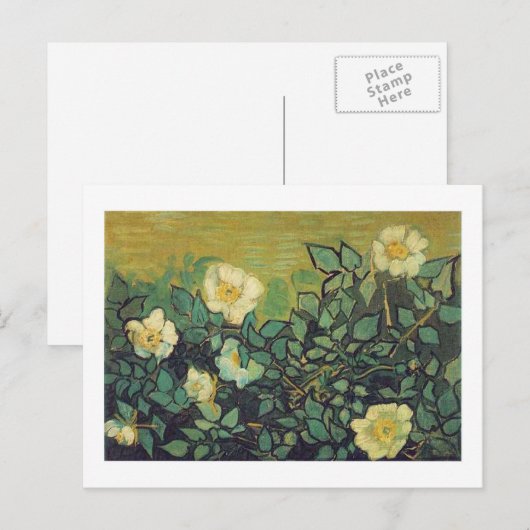 Wilde Rozen, 1890. Vincent van Gogh. Briefkaart (Voorkant / Achterkant)
