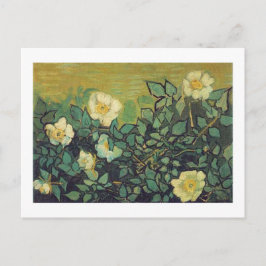 Wilde Rozen, 1890. Vincent van Gogh. Briefkaart