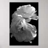 Wilde Rozen Black en White Floral Poster (Voorkant)