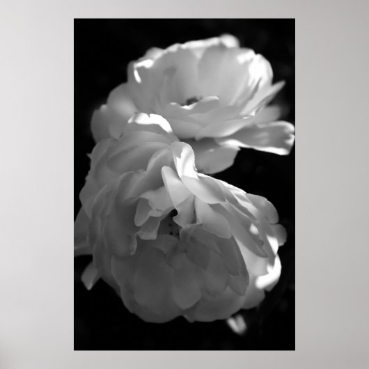 Wilde Rozen Black en White Floral Poster (Voorkant)