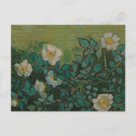 Wilde Rozen door Vincent Van Gogh Ansichtkaart Briefkaart