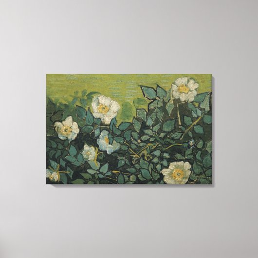 Wilde Rozen door Vincent van Gogh Canvas Afdruk (Voorkant)