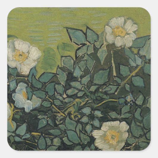 Wilde Rozen door Vincent van Gogh Vierkante Sticker (Voorkant)