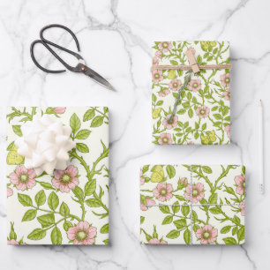 Wilde rozen en vlinders /roze/lichtgroen/geel inpakpapier vel