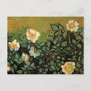 Wilde Rozen (F597) Van Gogh Fine Art Briefkaart