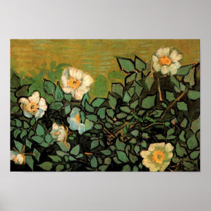 Wilde Rozen (F597) Van Gogh Fine Art Poster