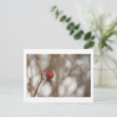 Wilde Rozen Fruit Briefkaart (Staand voorkant)