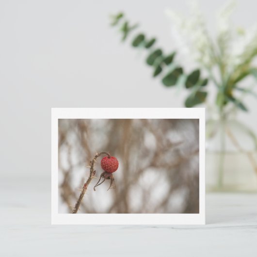 Wilde Rozen Fruit Briefkaart (Staand voorkant)