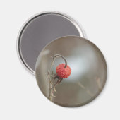 Wilde Rozen fruitmagneet Magneet (Voorkant / Achterkant)