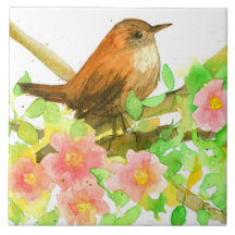 Wilde Rozen Roze Bloemen Botanische Wren Vogel