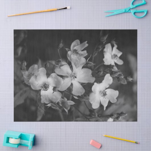 Wilde rozen tissuepapier (Craft)