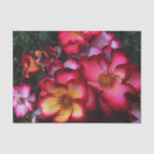 Wilde Rozen Tissuepapier (Voorkant)