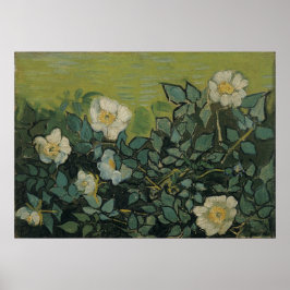 Wilde Rozen van Vincent van Gogh Poster