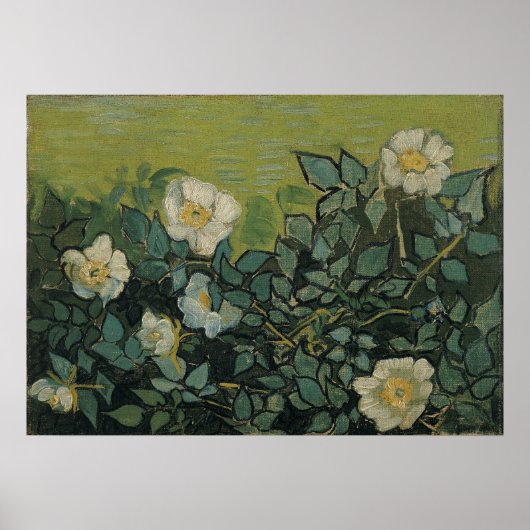 Wilde Rozen van Vincent van Gogh Poster (Voorkant)