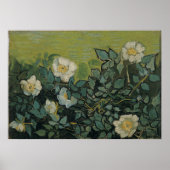 Wilde Rozen van Vincent Van Gogh Poster (Voorkant)
