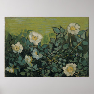 Wilde Rozen van Vincent Van Gogh Poster