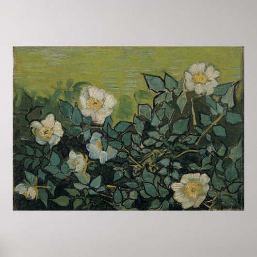 Wilde Rozen van Vincent Van Gogh Poster (Voorkant)