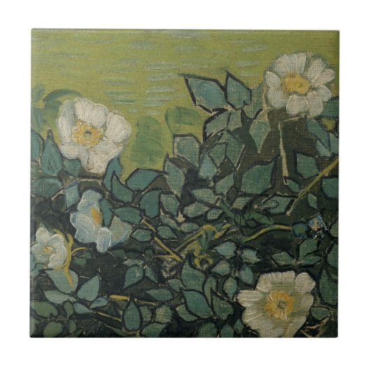 Wilde Rozen van Vincent van Gogh Tegeltje (Voorkant)