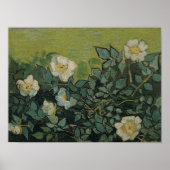 Wilde Rozen van Vincent van Gogh,  tuinkunst Poster (Voorkant)