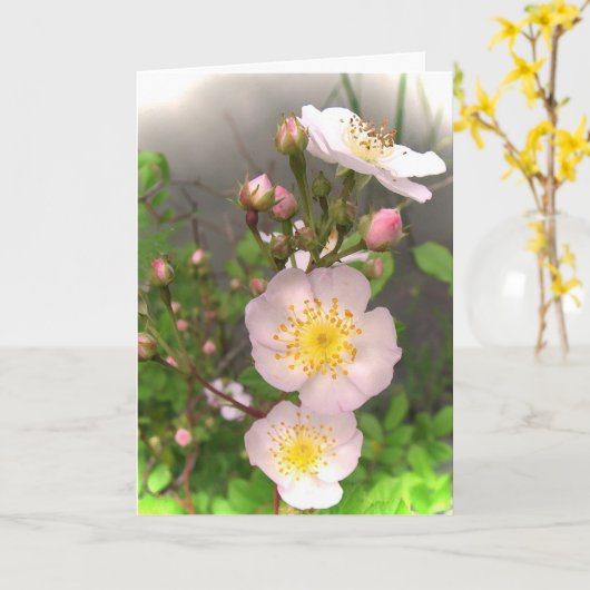 Wilde Rozen voor Moederdag Kaart (Gele Bloem)