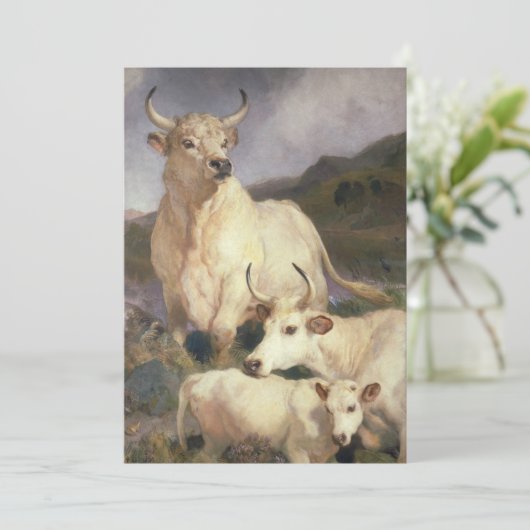 Wilde Rundvee van Chillingham (Koe) Kaart (Staand voorkant)