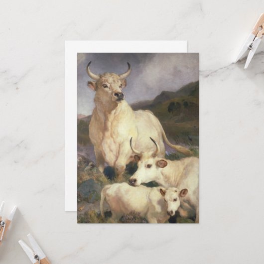 Wilde Rundvee van Chillingham (Koe) Kaart (Voorkant / Achterkant in situ)