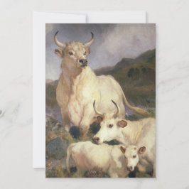 Wilde Rundvee van Chillingham (Koe) Kaart