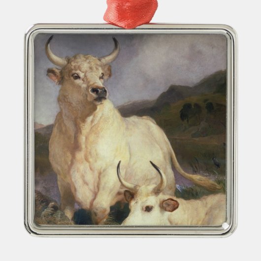 Wilde Rundvee van Chillingham (Koe) Metalen Ornament (Voorkant)